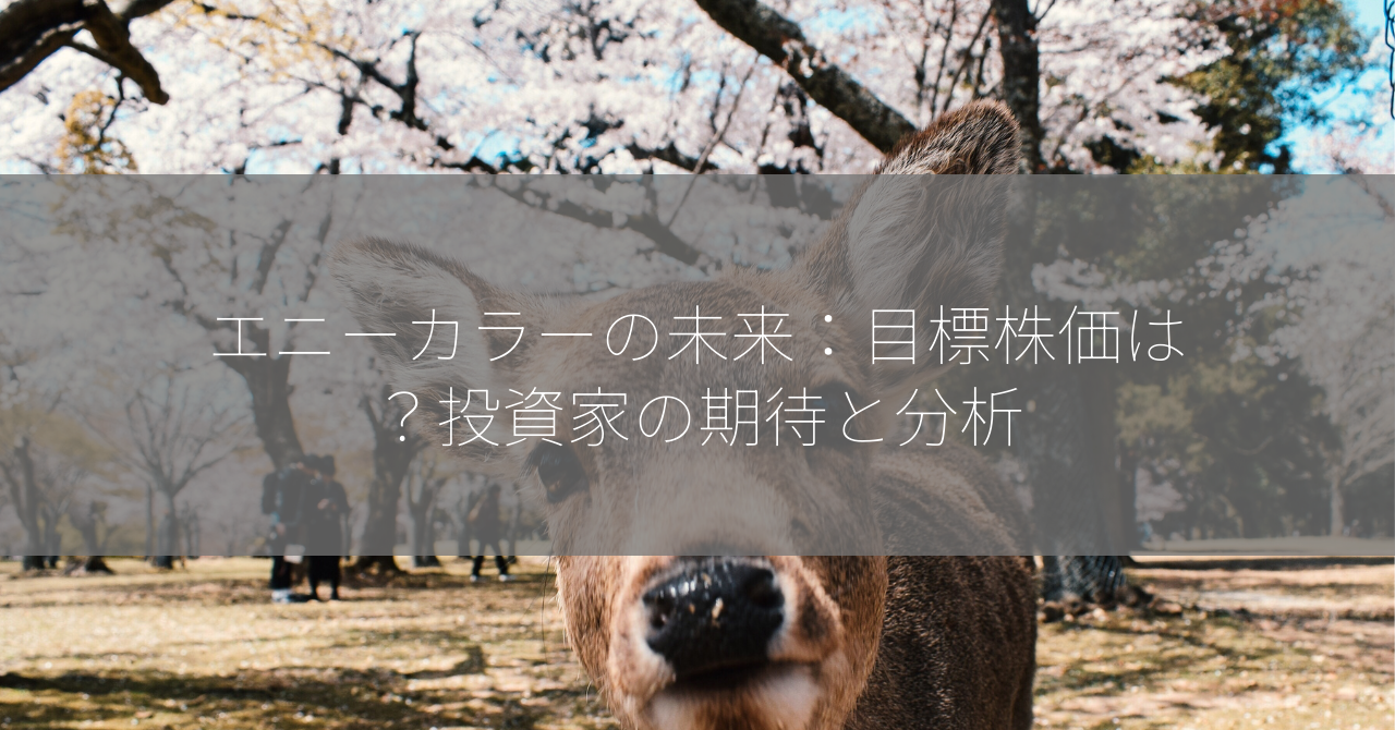 エニーカラーの未来：目標株価は？投資家の期待と分析